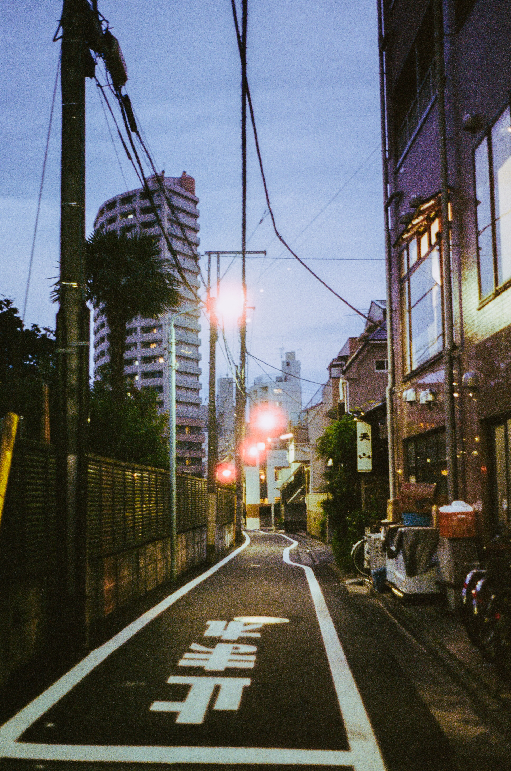 Film photo 3