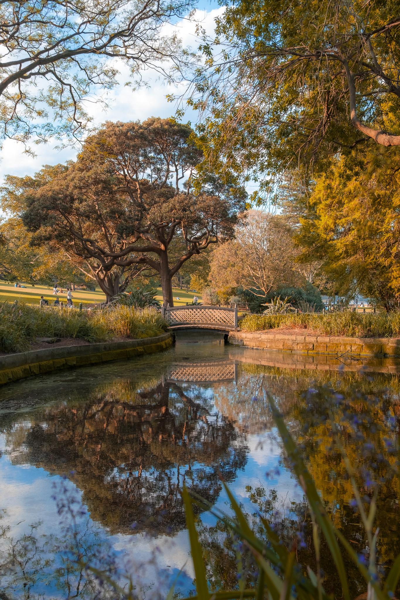 Landscape photo 2