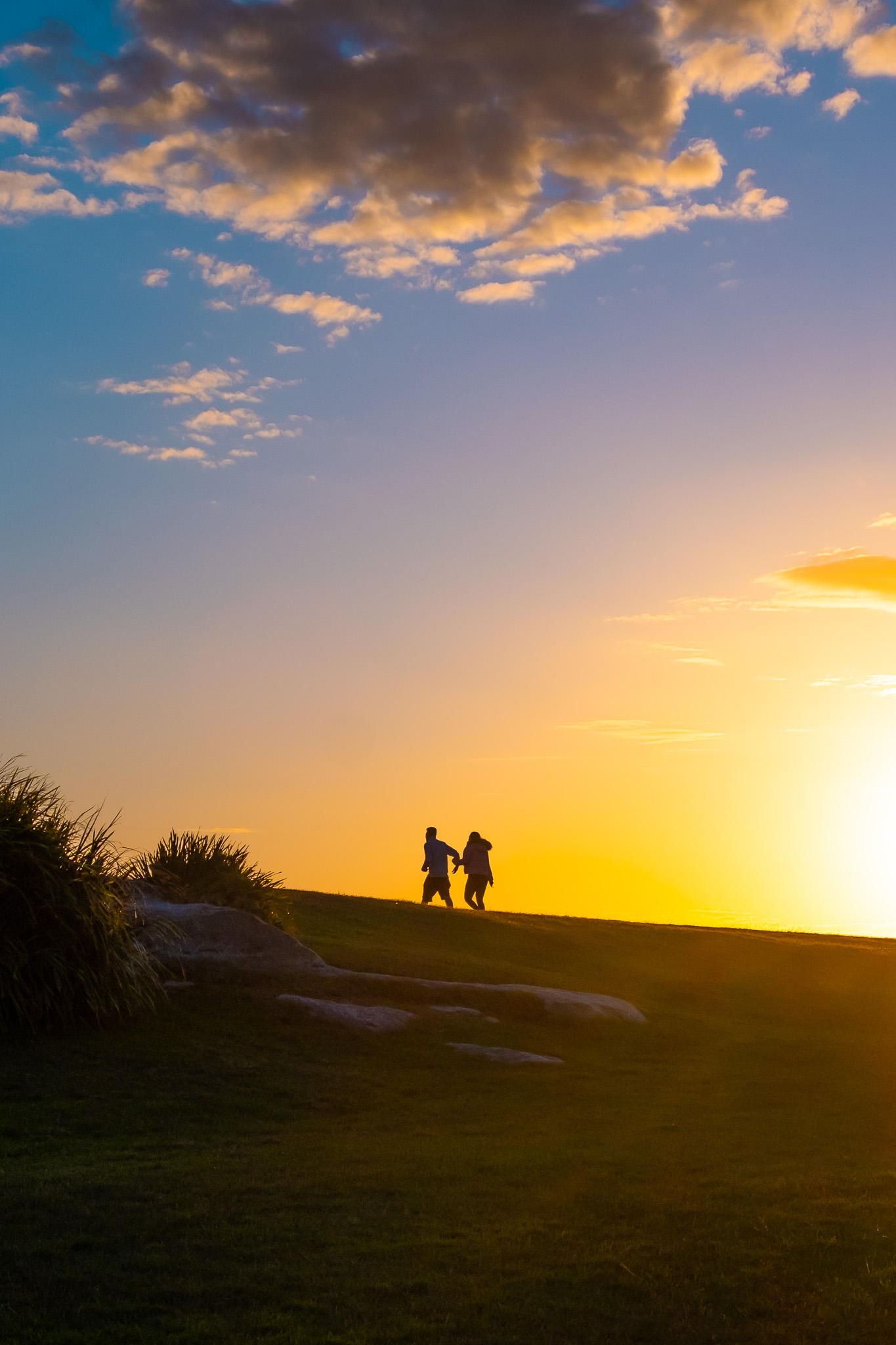 Landscape photo 3